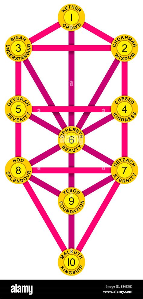 Diagrama De Arbol Fotografias E Imagenes De Alta Resolucion Alamy Images The Best Porn Website