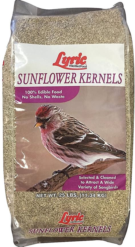 Lyric Sunflower Kernels Wild Bird Food 25 Lb Bag