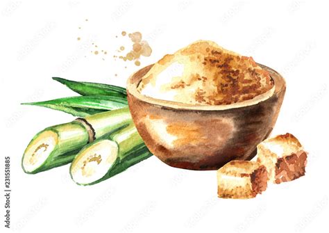 Brown Sugar With Sugar Cane Watercolor Hand Drawn Illustration