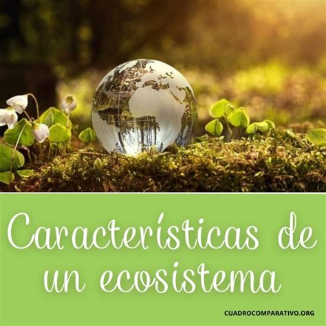 Tipos De Ecosistemas Componentes Caracter Sticas Y Ejemplos Cuadro