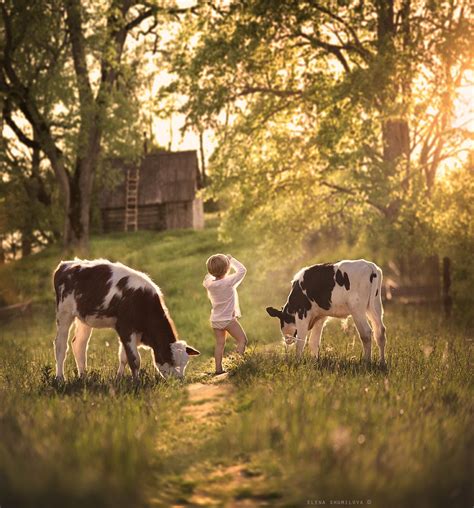 Morning At The Farm Null Country Life Country Scenes Farm Animals