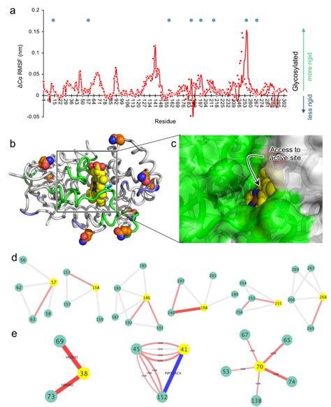 Molecular Dynamic Simulations Of Holo Hrp A Change In Root Mean