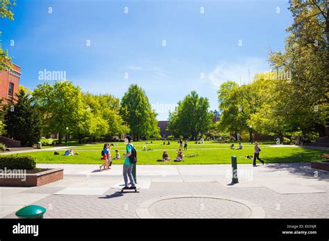 Grass plaza in front of the Lillis Business School at the University of ...