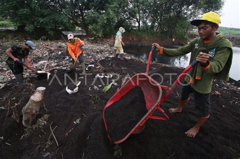 Pemanfaatan Ampas Kopi Antara Foto