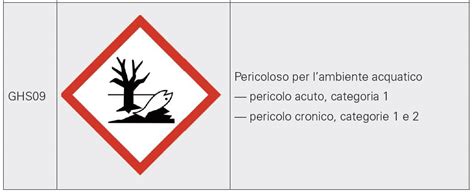 Pittogrammi E Simboli Di Pericolosit Ghs E Clp Insic