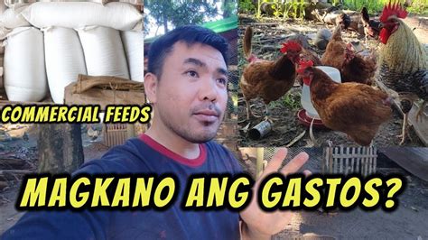 Magkano Ang Gastos Ko Sa Feeds Sa Isang Buwan Youtube