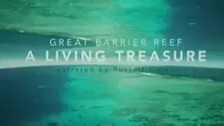 Documental La Gran Barrera De Coral Un Tesoro Vivo Arrecife De