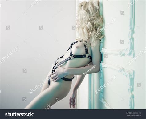Fashion Photo Nude Elegant Woman Provocative Stock Photo Shutterstock