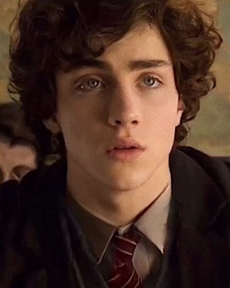 James Potter Aaron Johnson Taylor Personajes De Harry Potter Los Merodeadores