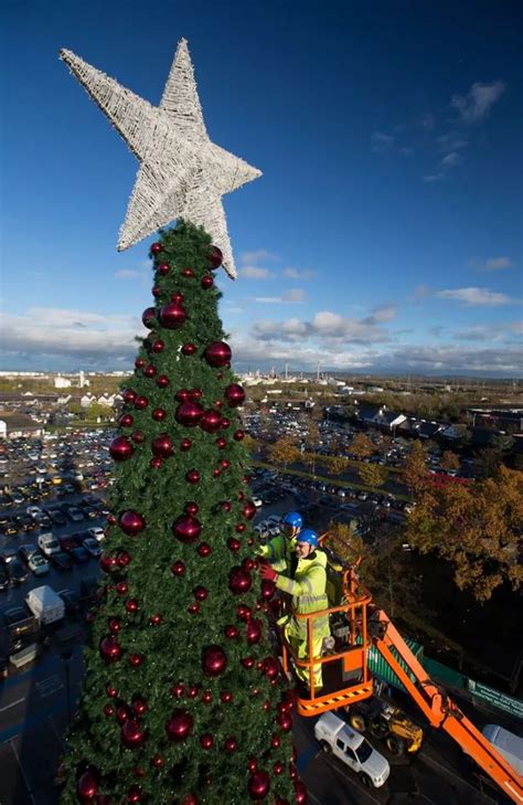 Giant 100ft Cheshire Oaks Christmas Tree Complete With 100000 Fairy