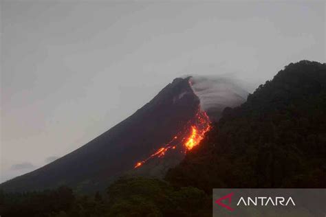 Guguran Lava Pijar Gunung Merapi Antara News