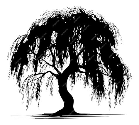 Willow Tree Silhouette Artistic Illustration of a Graceful Tree | Premium AI-generated vector