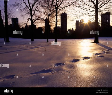 Central Park at winter, New York, USA Stock Photo - Alamy