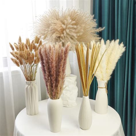 Buy Anlala Dried Pampas Grass Decor Pcs Inch Cm Natural Dried