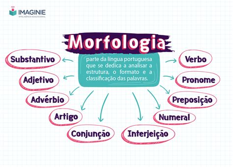 Mapa Mental De Morfologia FDPLEARN