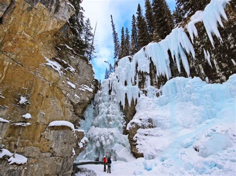 Guided Johnston Canyon Icewalk Tour With Day And Evening Option Tours