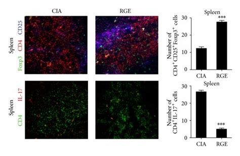 Red Ginseng Extract Reciprocally Modulates Populations Of Regulatory T