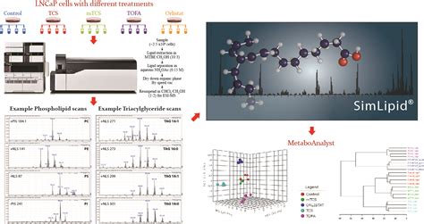 Shotgun Lipidomics Analysis Of Prostate Cancer Cells With Simlipid