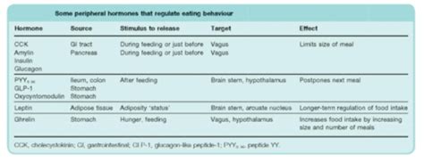 Obesity Pathophysiology Of Obesity Flashcards Quizlet