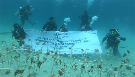 FOTO Pertamina Peduli Pelestarian Terumbu Karang Di Kepulauan Togean