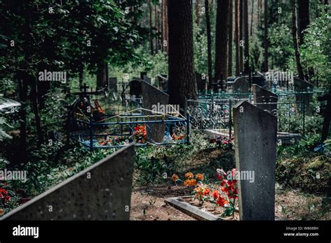 Old Christian Cemetery With Tombstones And Crosses In A Forest In