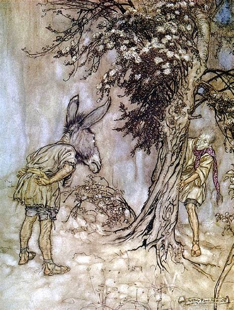 The Art Of Pierangelo Boog Arthur Rackham Illustrations For A