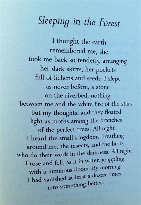 Sleeping In The Forest By Mary Oliver Inspirational Quotes Words