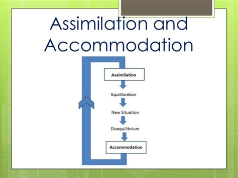 Schema Assimilation And Accommodation JEAN Piaget