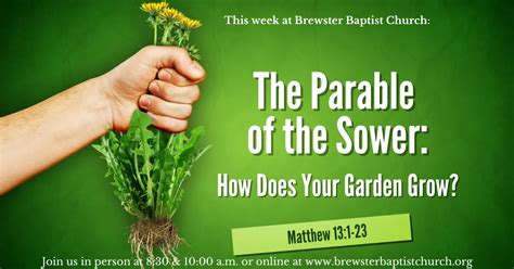 The Parable Of The Sower Brewster Baptist Church