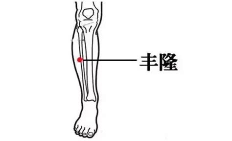 身體不好，是先補還是先排濕毒？四大祛濕開關 穴道經絡引導