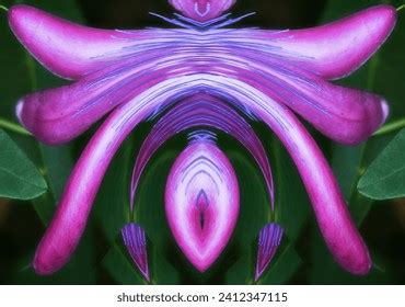 Clitoris Vagina Royalty Free Photos And Stock Images Shutterstock