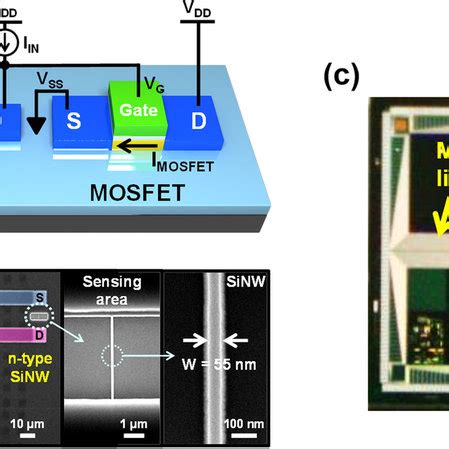 Pdf A Highly Responsive Silicon Nanowire Amplifier Mosfet Hybrid