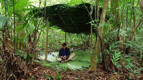 Jungle Survival Making Native Huts With Bamboo And Palm Leaves Youtube