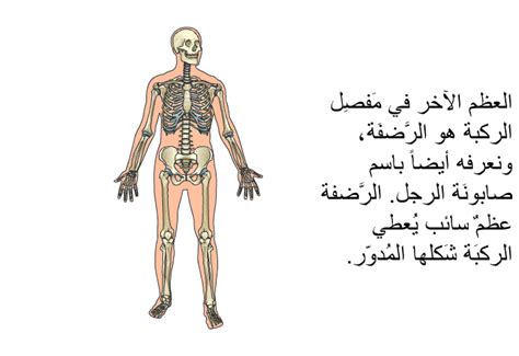 استبدال الركبة