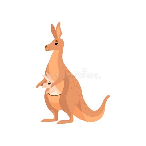 Wallaby Stock Illustrations 5 035 Wallaby Stock Illustrations