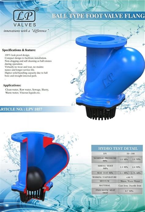 Blue Cast Iron Ball Type Foot Valve Fanged End Manufacturer