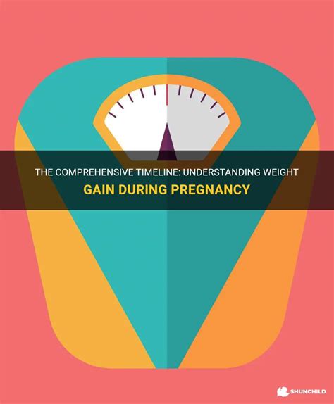 The Comprehensive Timeline Understanding Weight Gain During Pregnancy