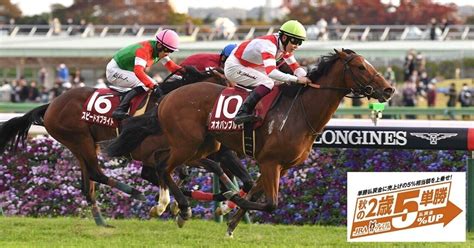 東京11r 京王杯2歳ステークスgⅡ キャリア競馬1節｜キャリア競馬ブログ