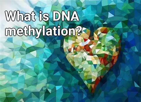 What Is Dna Methylation Lifeextension Gov Capital