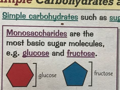 Carbohydrates Page 5 6 Flashcards Quizlet