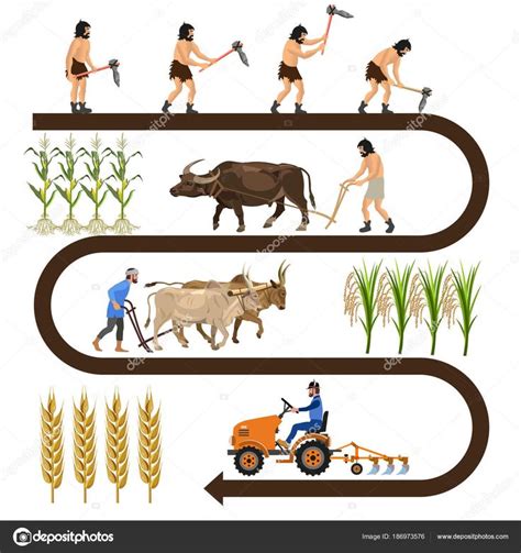 the life cycle of farmers and their animals stockvectors for farming ...