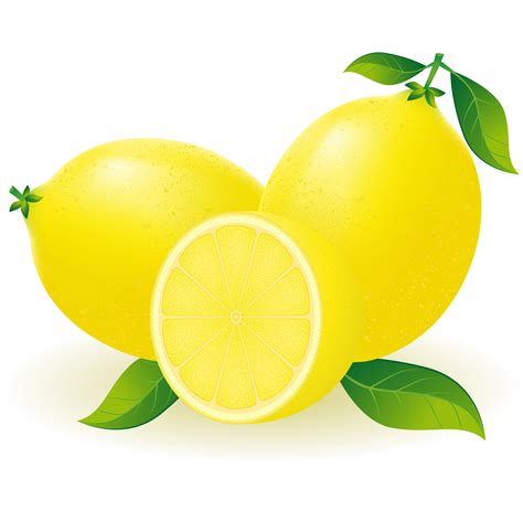 lemon vector illustration 514564 Vector Art at Vecteezy