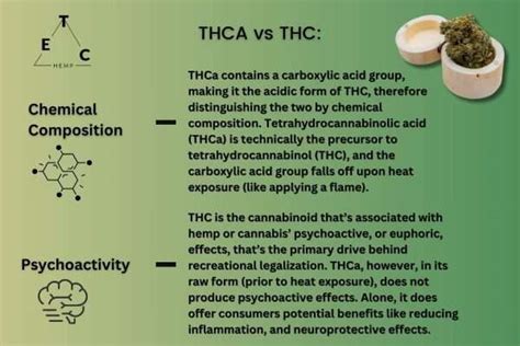 Thca Vs Thc What Is The Difference Elevated Trading