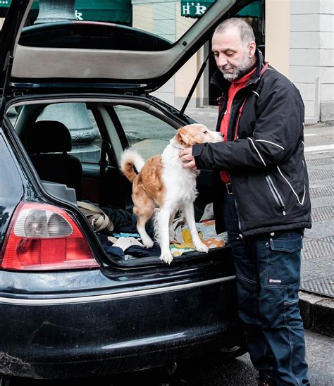 Vive in auto per non lasciare il cane Si scatena la solidarietà sui social