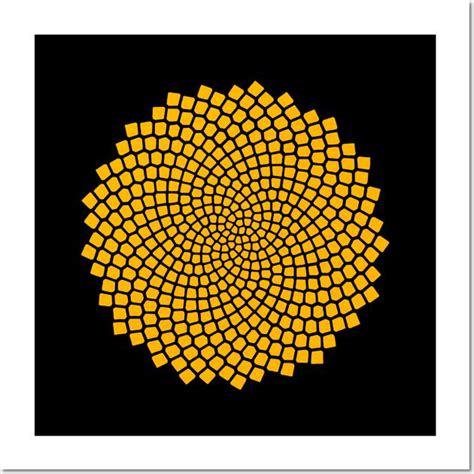 sunflower fibonacci seed spiral golden  dreambeasts art prints