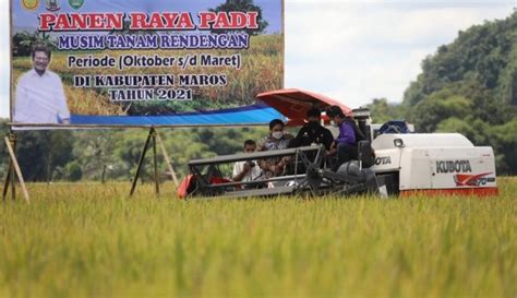 Mentan SYL Panen Dan Gerakkan Serap Gabah Di Maros