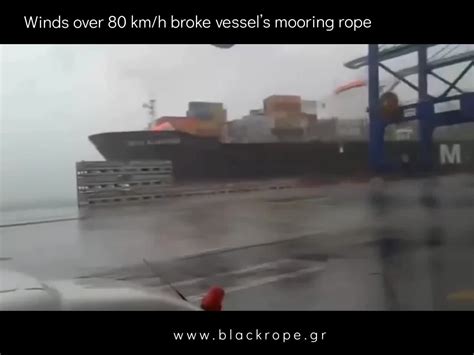 Mooring Accident ⚠️ Winds Over 80 Kmh Broke Msc Vessels Mooring Line