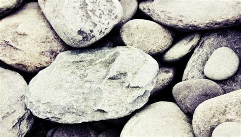 Free Images Rock Wildlife Pebble Soil Material Close Up Gravel