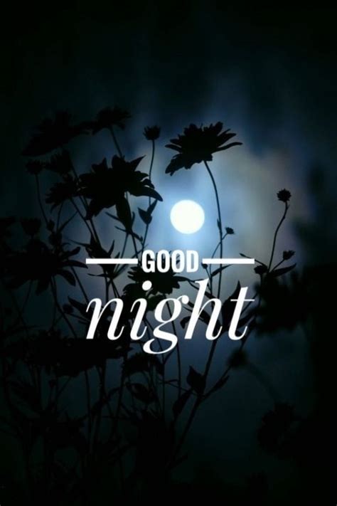 Good Night Photo Beautiful Good Night Quotes Good Night Friends