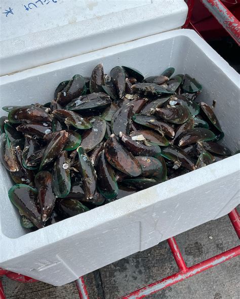 Rachel Pena Lima added a new photo. - Rachel Pena Lima